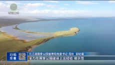 晚间播报 20260107