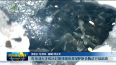 青海湖大环线冰封期裸鲤资源保护联合执法行动启动