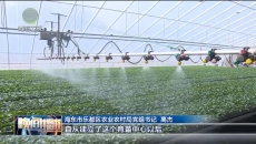 晚间播报 20260118