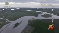 1时间帮女郎 20260121