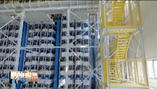 晚间播报 20260123