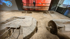 在博物馆解锁先秦“车马江湖”