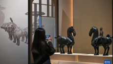 国博推出马年新春文化展