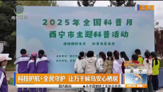 科技护航+全民守护 让万千候鸟安心栖居