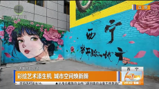 彩绘艺术添生机 城市空间焕新颜