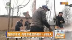 青海杀年猪 高原非遗里的腊月人间烟火