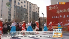 马跃新农庄 年味满人间