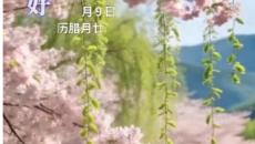 你好青海 20260209