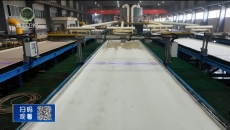 晚间播报 20260208