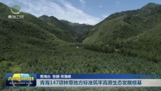青海147项林草地方标准筑牢高原生态发展根基