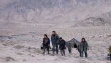 【生命树】预告-巡山队