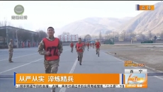 从严从实 淬炼精兵