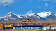 【市州县传真】北驾祁连·9号公路入选“2025年度自驾游精品线路”