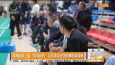 青海省第三届“辞旧迎新”羽毛球混合团体赛圆满落幕