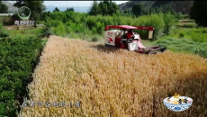 1时间帮女郎 20260213