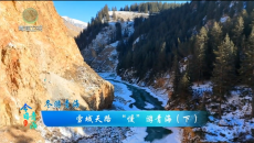 今日青海 20260211 雪域天路 “慢”游青海（下）