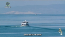 青海湖国家公园创建记