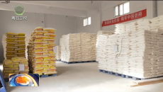 晚间播报 20260214