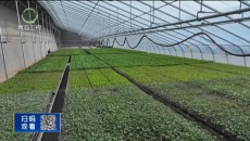 晚间播报 20260225