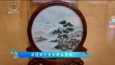 今日青海 20260227 非遗排灯里的新春密码