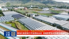 晚间播报 20260307