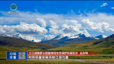 晚间播报 20260309