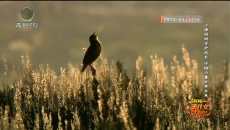 1时间帮女郎 20260311