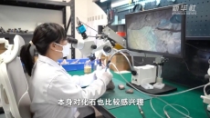 “90后”化石修复师 | 我在毫米间 “唤醒” 亿万年前生命