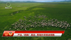 今日青海 20260312 产业“四地”驱动 青海外贸增速领跑