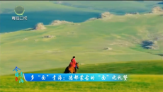 今日青海 20260315 多“面”青海：德都蒙古的“面”之礼赞