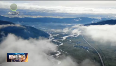 晚间播报 20260315