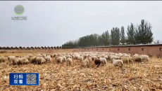 晚间播报 20260316