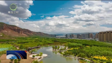 晚间播报 20260318