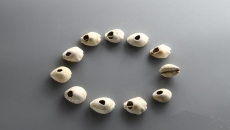 陕西蒋刘遗址发现西周时期遗存