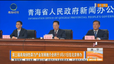 第三届青海绿色算力产业发展推介会将于3月27日在北京举办