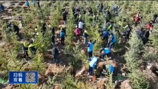 晚间播报 20260322