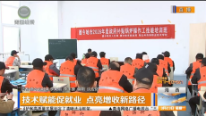 技术赋能促就业 点亮增收新路径