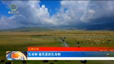 晚间播报 20260323