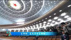 今日青海 20260323 生命树 春风里的生命树