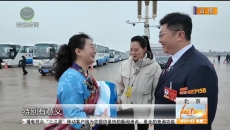 生命树 春风里的生命树