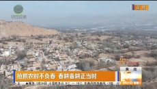 抢抓农时不负春 春耕备耕正当时
