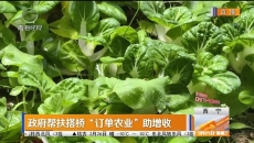 政府帮扶搭桥“订单农业”助增收