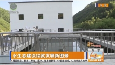 水生态建设绘就发展新图景