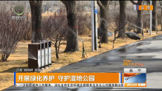 开展绿化养护 守护湿地公园