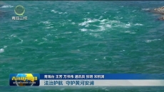 法治护航 守护黄河安澜