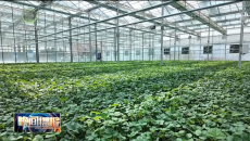 晚间播报 20260331