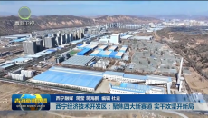 西宁经济技术开发区：聚焦四大新赛道 实干攻坚开新局