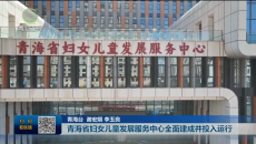 青海省妇女儿童发展服务中心全面建成并投入运行