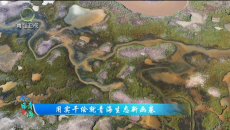 今日青海 20260405 用实干绘就青海生态新画卷