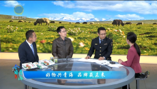 今日青海 20260406 好物兴青海 品牌赢未来